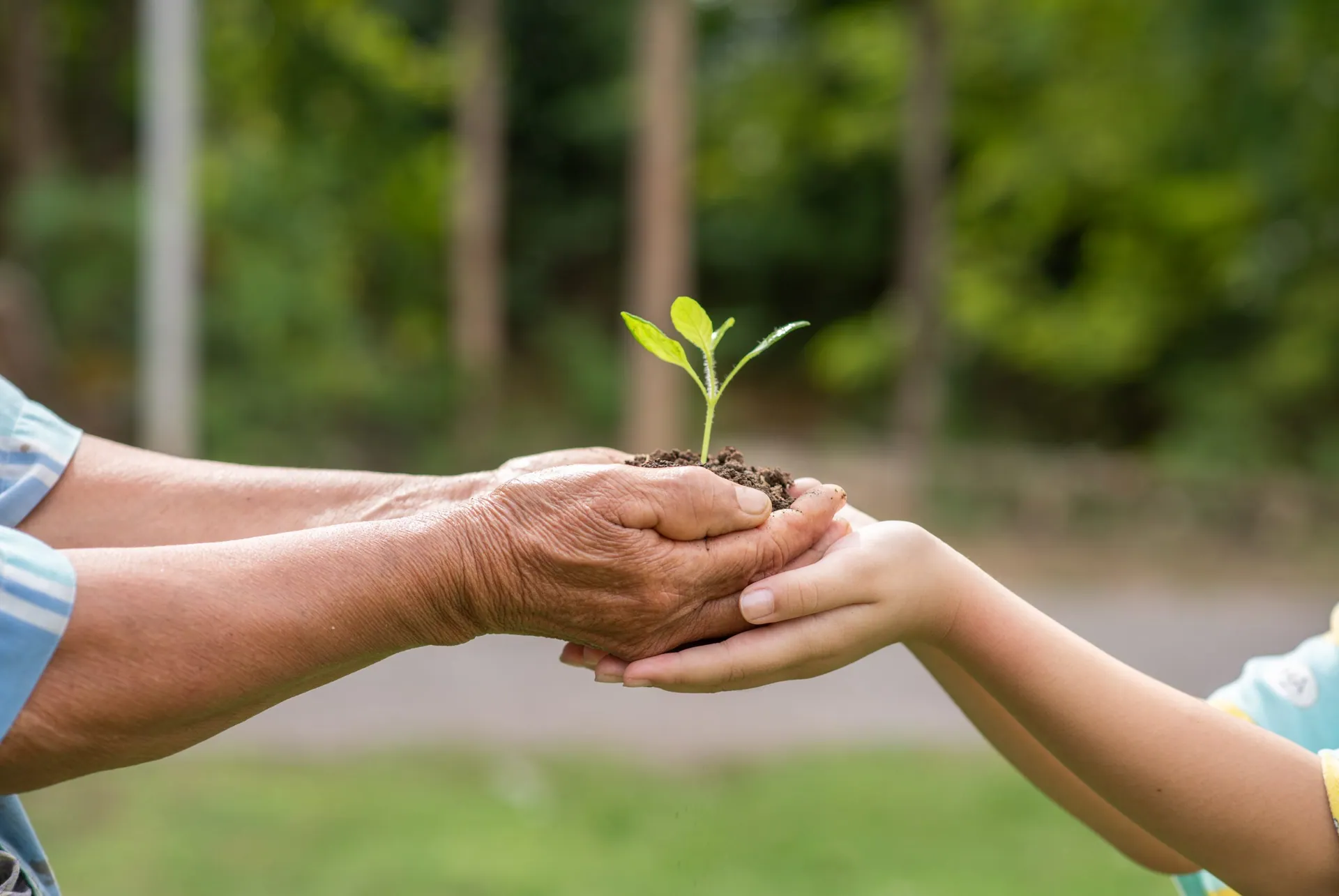 Environmental education