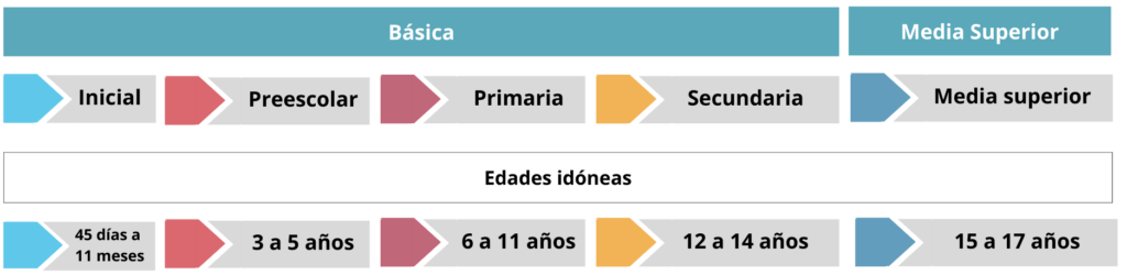 estructura-sistema-educativo